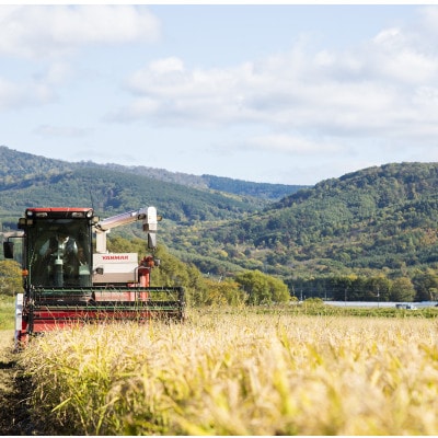 北海道産ゆめぴりか 栽培期間中農薬・化学肥料不使用 玄米5kg×2袋