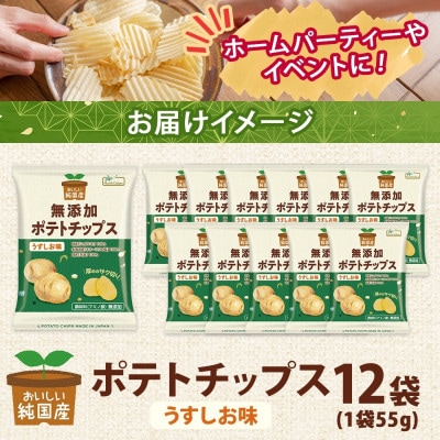 純国産 ポテトチップス うすしお味 12袋 北海道深川市