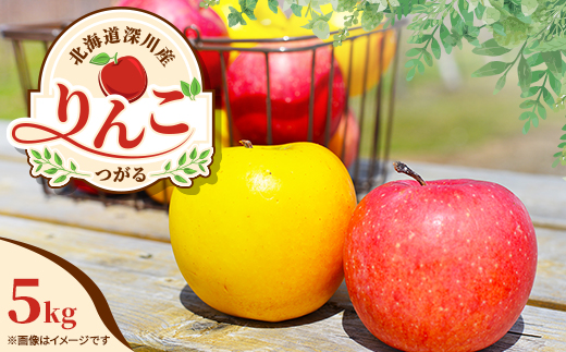 【令和7年産先行受付】北海道深川市産りんご(つがる)5kg【ふるさと納税】【配送不可地域：離島】
