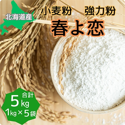 北海道産小麦　春よ恋　強力粉　5kg (1kg×5袋)
