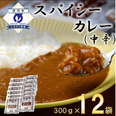 スパイシーカレー中辛(レトルト)300g×12袋