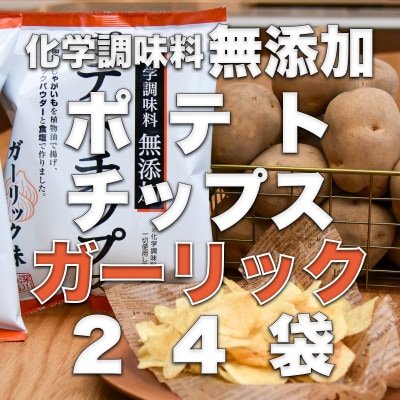 化学調味料無添加ポテトチップス　ガーリック味(55g×24袋)