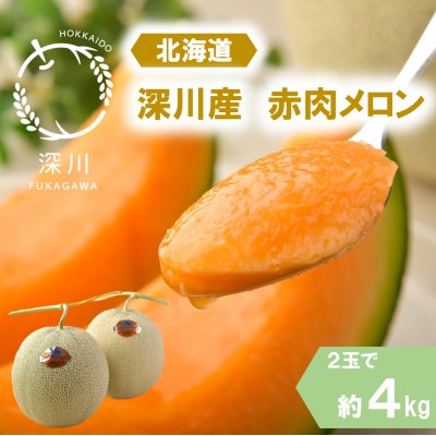 〈令和7年産〉〈先行受付〉深川産北斗メロン(赤肉メロン)　優品または秀品・2玉入(約4kg)