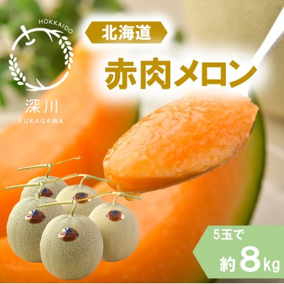 ＜令和7年産先行受付＞北海道産赤肉メロン 優品または秀品・5玉入り(約8kg)