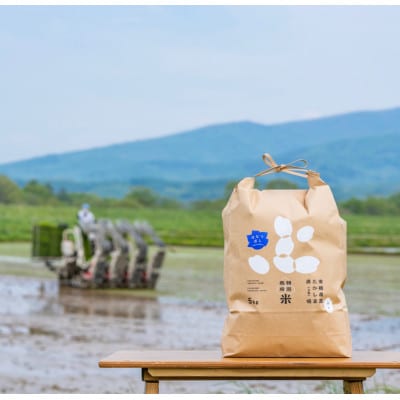 北海道産 特別栽培米ななつぼし 白米 5kg×2袋