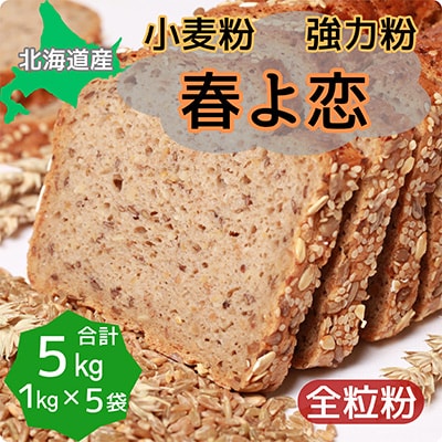 北海道産小麦　春よ恋(強力粉)　全粒粉　5kg (1kg×5袋)