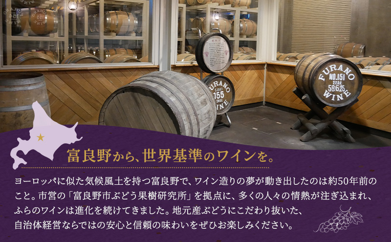 シャトーふらの（赤・白）2本セット 720ml (お酒 酒 ワイン ぶどう 飲み物 アルコール 北海道 送料無料 道産 富良野市 ふらの)
