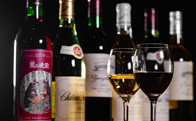 ふらのワイン　スペシャル（赤・白）6本セット (お酒 酒 ワイン ぶどう 飲み物 アルコール 北海道 送料無料 道産 富良野市 ふらの)