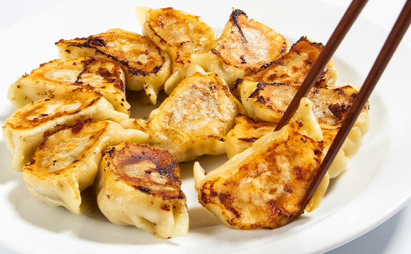 【北海道富良野市】手包みふらの餃子 8個入 (中華 冷凍 即席 食品 簡単 加工品 調理不要 おかず 手作り 道産 富良野 ふらの 北海道 送料無料)