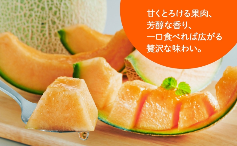 ＜2026年発送 先行受付＞ふらの産 しあわせのメロン 赤肉 大玉 2玉 計4kg メロン 富良野メロン 赤肉メロン 果物 フルーツ 甘い デザート ギフト 贈答 送料無料 ウエノ農園 北海道 富良野市