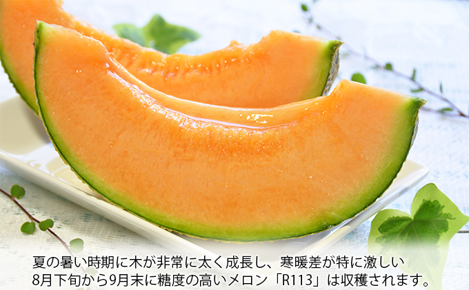 【2026年8月下旬より発送】北海道 富良野 メロン 赤肉 約1.8kg×2玉 メロン フルーツ 果物 新鮮 甘い 贈り物 ギフト 道産 ジューシー おやつ ふらの ブランド 夏 (吉田農園)