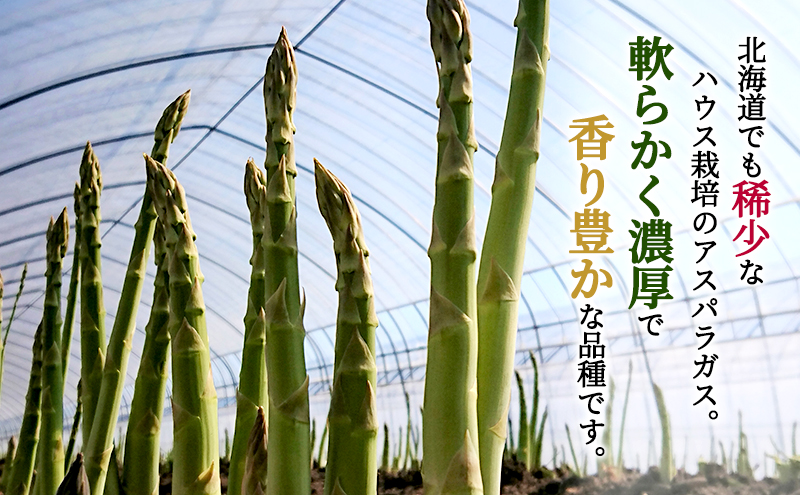 【2026年4月上旬より発送】北海道 富良野産 グリーンアスパラガス S～2Lサイズ 無選別品 約1kg (松本農園) 野菜 新鮮 直送 朝採り アスパラガス 道産 北海道 ふらの