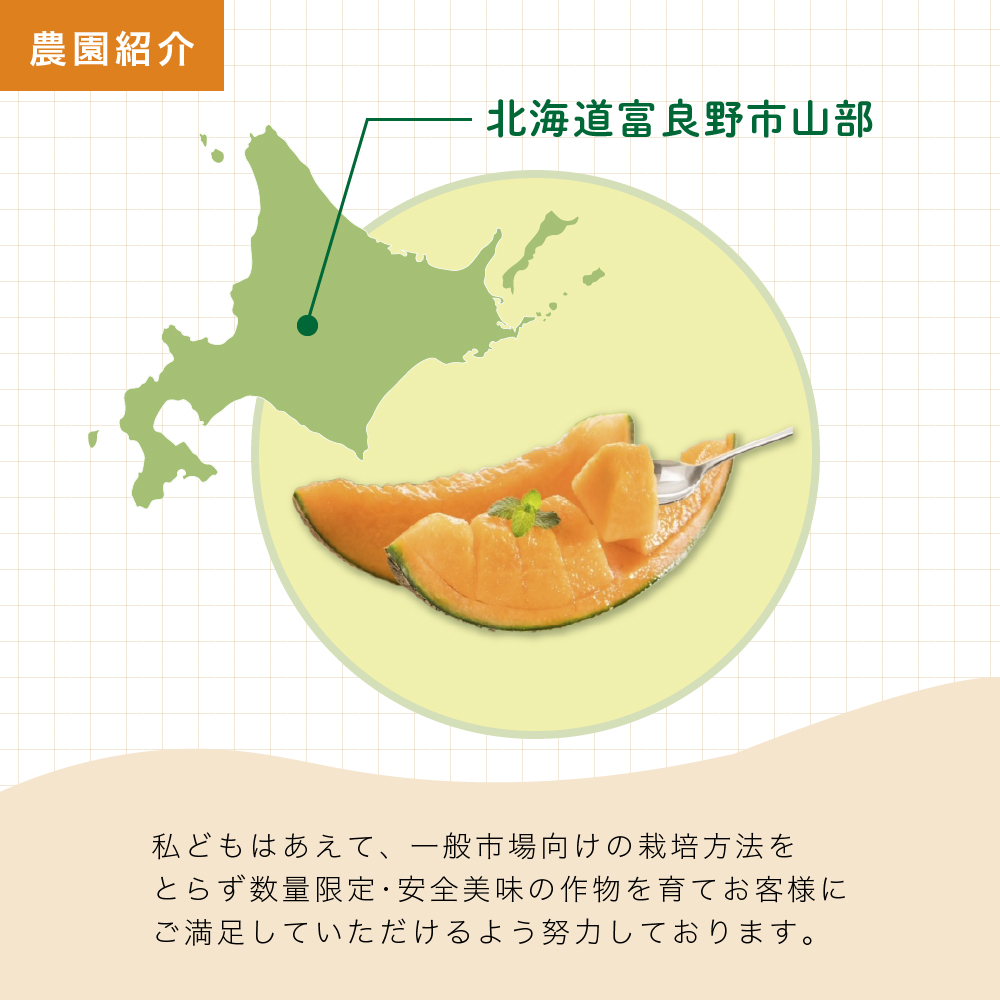 【2026年6月より順次発送】ふらの山部の絶品メロン『鳳凰』 2L（1.8～2kg）×3玉（坂口農産）メロン フルーツ 果物 新鮮 甘い 贈り物 ギフト 道産 ジューシー おやつ ふらの ブランド 夏