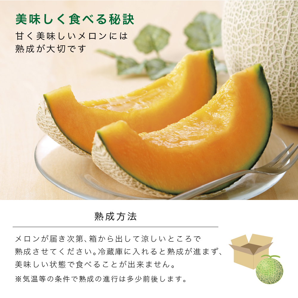 【2026年6月より順次発送】ふらの山部の絶品メロン『鳳凰』3L（2～2.5kg）×2玉（坂口農産）メロン フルーツ 果物 新鮮 甘い 贈り物 ギフト 道産 ジューシー おやつ ふらの ブランド 夏