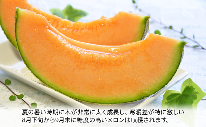 【2026年8月下旬より発送】北海道 富良野 メロン 赤肉 約2.1kg×1玉 (吉田農園) メロン フルーツ 果物 新鮮 甘い 贈り物 ギフト 道産 ジューシー おやつ ふらの ブランド 夏