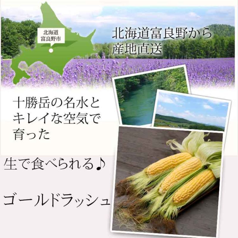 【2026年夏発送】生で食べられる！とうもろこし 富良野産 ゴールドラッシュ 5本 とうきび 野菜