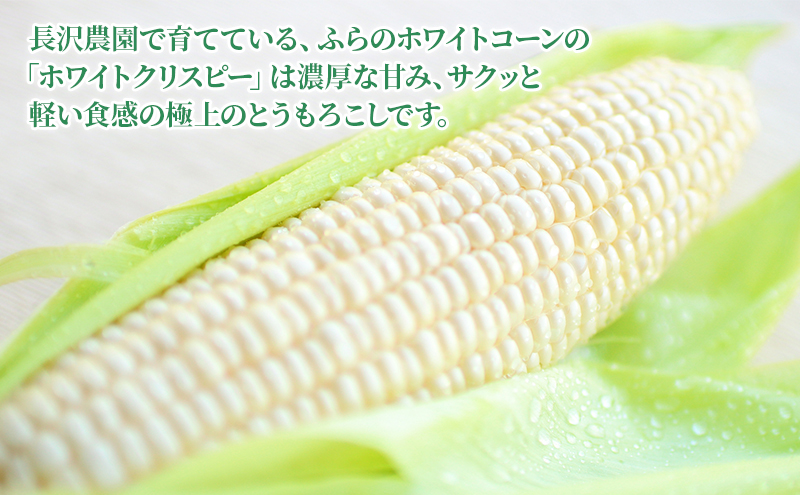 【先行受付  2026年発送】ふらのホワイトコーン 計 4.2kg 以上 (12～14本入) 白 とうもろこし ホワイトクリスピー 野菜 北海道 富良野 ふらの ギフト 長沢農園