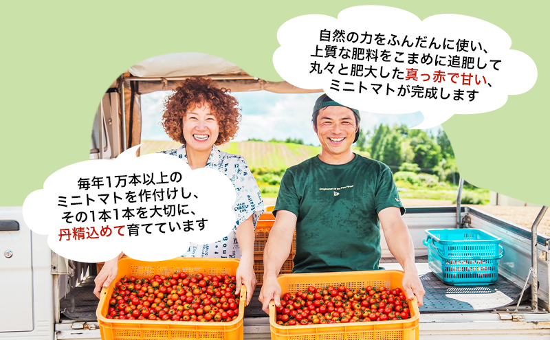 【数量限定・2025年7月中旬～順次発送】富良野 益田農園産 ミニトマト 約1kg トマト ギフト 北海道 富良野市 野菜 とれたて 新鮮 限定 数量限定 (益田農園)