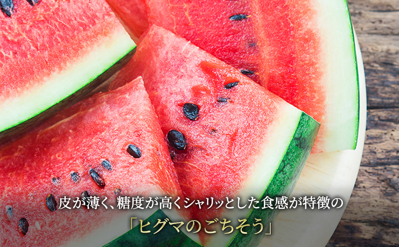 北海道 富良野産 ヒグマのごちそう(すいか)[1玉 5L以上 9kg以上/玉] すいか フルーツ 果物 新鮮 甘い 贈り物 ギフト 道産 ジューシー おやつ ふらの ブランド 夏