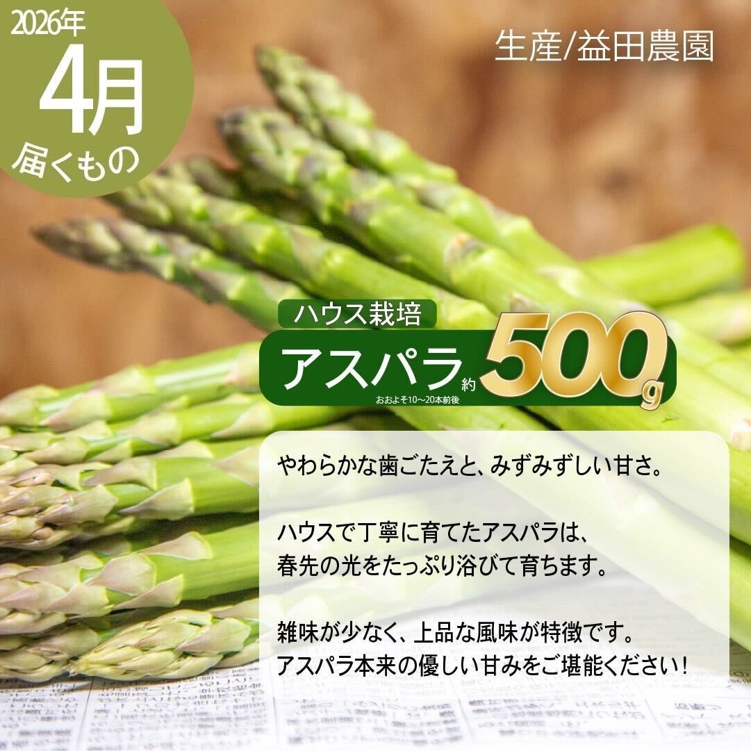 【2026年春発送】富良野産 アスパラ 食べ比べ 全2回定期便 アスパラ ハウス栽培 露地栽培 北海道 富良野市 緑アスパラ 野菜 とれたて 朝採り 食べくらべ 定期便 数量限定