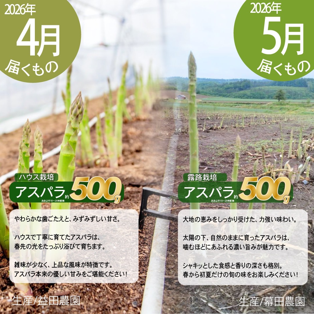 【2026年発送】全5回 富良野 専門農家が選ぶ 旬の贅沢 定期便 北海道 富良野市 老節布 野菜 アスパラ ハウス 露地 ミニトマト とうもろこし スイートコーン 玉ねぎ たまねぎ 玉葱 甘い