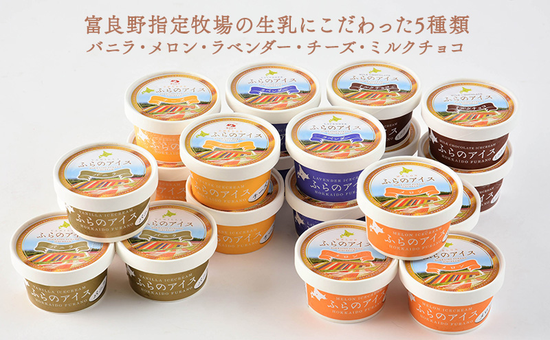 北海道富良野市 ふらの アイスクリーム 20個 5種×4個 (ディームファクトリー) アイス デザート 北海道 富良野市 道産 直送 ふらの 贈り物 ギフト