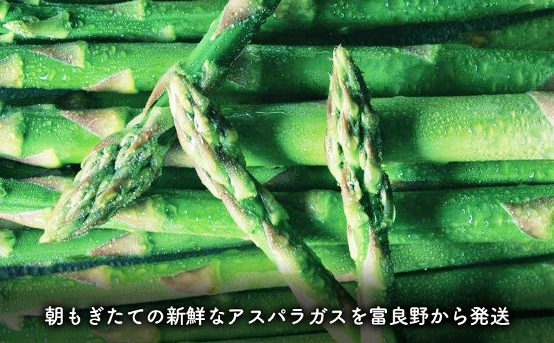 【2024年5月～発送】北海道 富良野市 グリーンアスパラガス 1kg 詰め L～2L サイズ (フラノプレゼンツ)