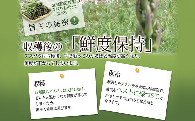 【2026年春発送】極太 グリーンアスパラ 3Lサイズ 1kg 北海道 富良野市産 (スイートベジタブルファクトリー)	