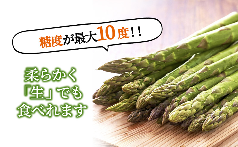 【2026年春発送】極太 グリーンアスパラ 2Lサイズ 1kg 北海道 富良野市産 (スイートベジタブルファクトリー)