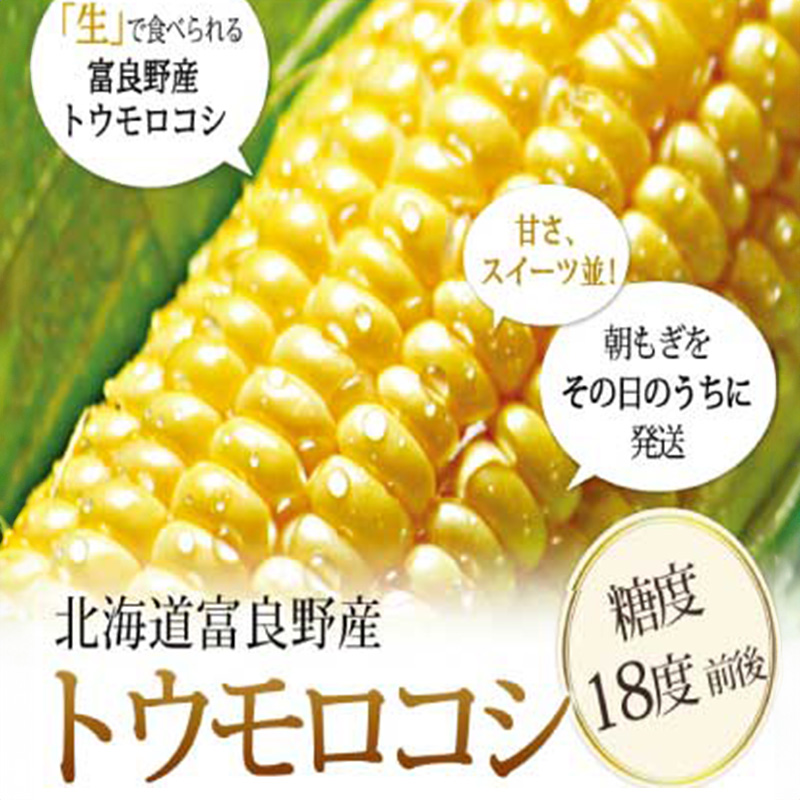 【2026年夏発送】富良野産 生で食べられる とうもろこし【恵味（めぐみ）】 2Lサイズ 5本
