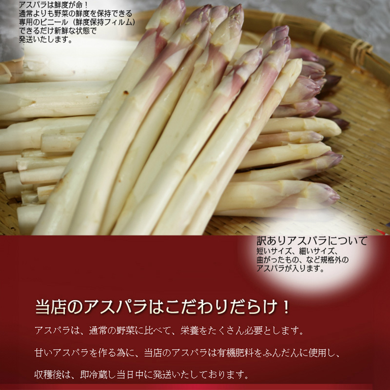 【2026年5月中旬～発送】訳あり ホワイト アスパラ SMサイズ混合 1kg セット北海道 富良野市 (スイートベジタブルファクトリー) 野菜 新鮮 直送 朝採り アスパラガス 道産 北海道 ふらの	