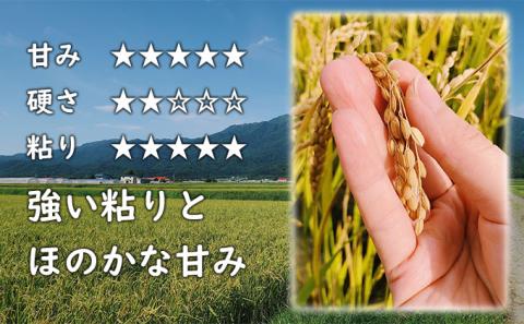 【令和7年度新米】北海道 富良野産 おぼろづき 減農薬 10kg 新米 米 (山本農園) お米 ご飯 ごはん 白米 定期 送料無料 北海道 富良野市 道産 直送 ふらの