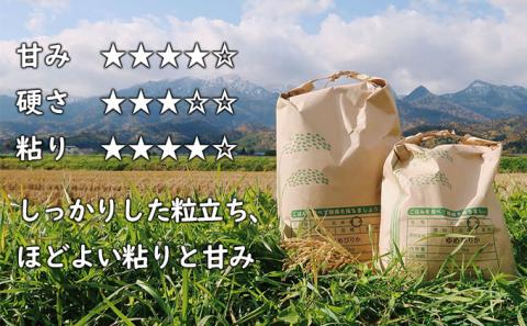 【令和7年度新米】北海道 富良野産 ゆめぴりか 減農薬 10kg 新米 米 (山本農園) お米 ご飯 ごはん 白米 定期 送料無料 北海道 富良野市 道産 直送 ふらの