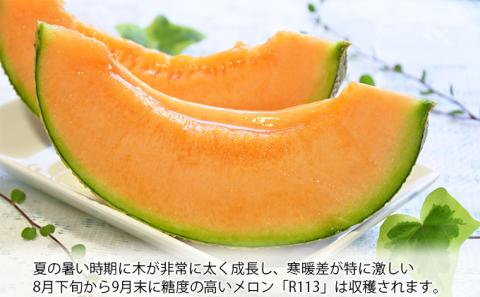 【2026年8月下旬より発送】北海道 富良野 メロン 赤肉 約1.8kg×2玉 メロン フルーツ 果物 新鮮 甘い 贈り物 ギフト 道産 ジューシー おやつ ふらの ブランド 夏 (吉田農園)