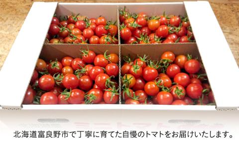【2026年7月より発送】北海道 富良野市産 完熟ミニトマト（キャロル10）約3kg トマト 甘い 野菜 新鮮 数量限定 先着順【藏ファーム】