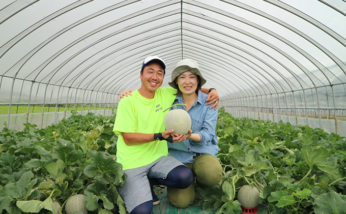 2024年7月上旬より順次出荷】先行受付 北海道 富良野産「しあわせのメロン」青肉 キングメルティ×2玉  計約3.2kg≪配送不可地域：沖縄県・離島≫(ウエノ農園 富良野) メロン フルーツ 果物: 富良野市ANAのふるさと納税