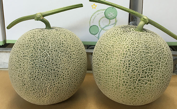 【2025年夏出荷】 ”特別栽培” 富良野産メロン 北添花 （赤肉メロン2玉入 約4kg）【植崎ファーム】メロン フルーツ 果物 新鮮 甘い 贈り物 ギフト 道産 ジューシー おやつ ふらの ブランド 夏