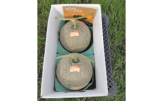 【2026年7月～発送】北海道 富良野市 ふらの赤肉 メロン 2kg×2玉 (中島農園) メロン フルーツ 果物 新鮮 甘い 贈り物 ギフト 道産 ジューシー おやつ ふらの ブランド 夏