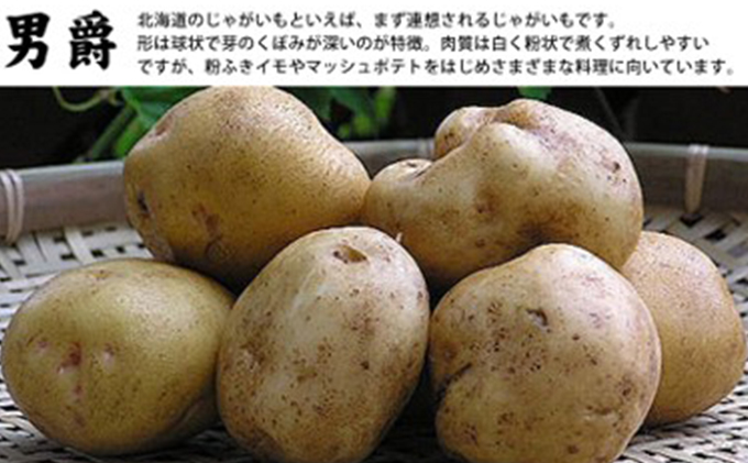 【2025年11月中旬～発送】北海道 富良野産 じゃがいも(男爵)＆玉ねぎ セット10kg (スイートベジタブルファクトリー) 野菜 新鮮 直送 いも 道産 ふらの 送料無料 数量限定 先着順