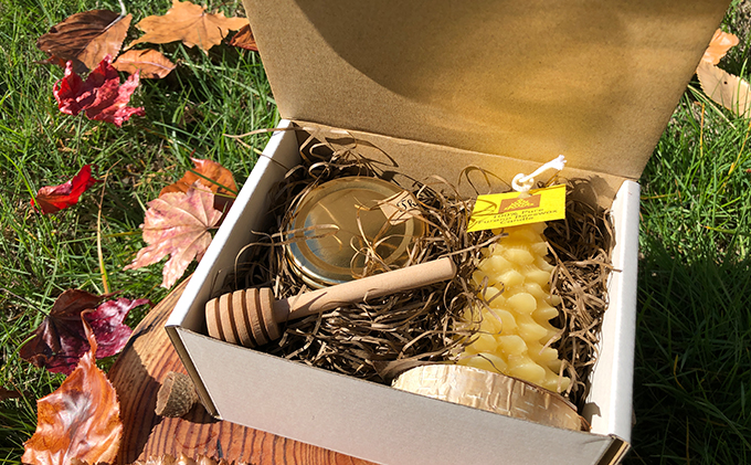 ミツロウキャンドル【クリスマスツリー】＆富良野純蜂蜜（アカシア蜜）90gセット 蜂蜜 はちみつ ハニー 国産 北海道 富良野市 ふらの 道産
