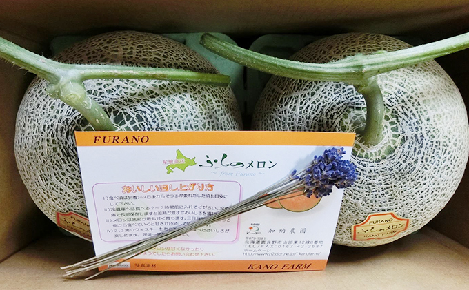 【2026年7月～発送】富良野産 赤肉 メロン ≪ラベンダー付≫ 1.8kg以上×2玉 北海道 富良野市 (加納農園) メロン フルーツ 果物 新鮮 甘い 贈り物 ギフト 道産 ジューシー おやつ ふらの ブランド 夏