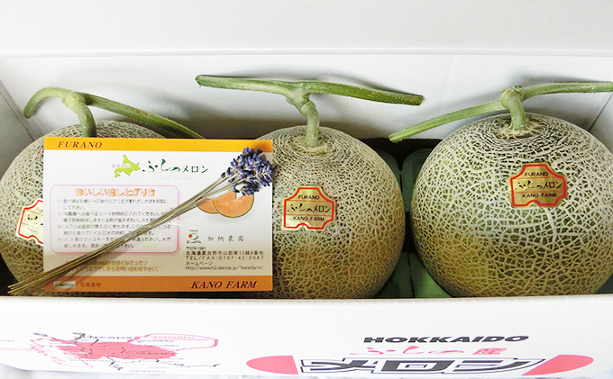 【2026年7月～発送】富良野産 赤肉 メロン ≪ラベンダー付≫ 1.8kg以上×3玉 北海道 富良野市 (加納農園) メロン フルーツ 果物 新鮮 甘い 贈り物 ギフト 道産 ジューシー おやつ ふらの ブランド 夏