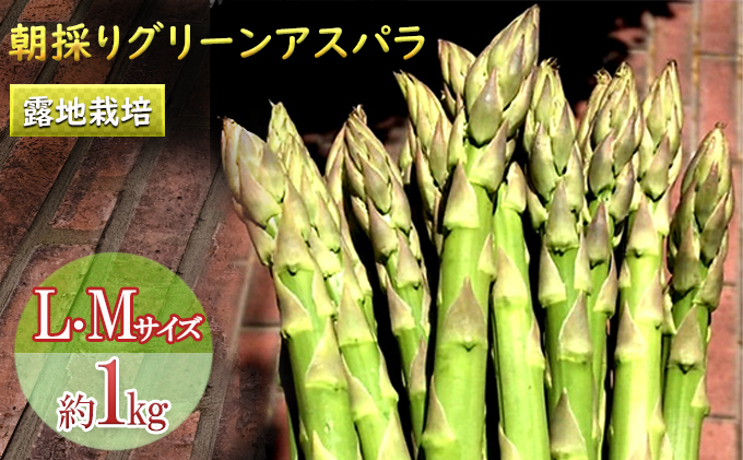 【2025年5月中旬～出荷】朝採り 露地 グリーン アスパラ L-Mサイズ 1kg ＆アスパラ キッシュ 北海道 富良野市 (バリアフリーの宿＆カフェ いつか富良野へ)お菓子 スイーツ デザート おやつ 贈り物 ギフト 手作り 北海道 送料無料 道産 富良野 ふらの 詰め合わせ