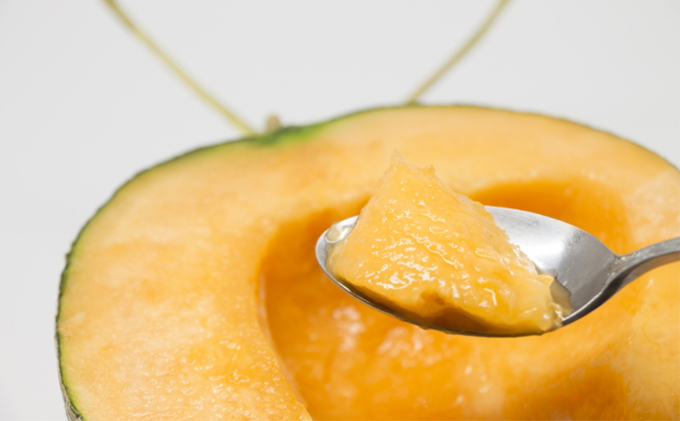 【2025年7月中旬～発送】北海道 ふらの 赤肉メロン 2玉入り 約1.6kg×2玉 (守田農園) メロン フルーツ 果物 新鮮 甘い 贈り物 ギフト 道産 ジューシー おやつ ふらの ブランド 夏