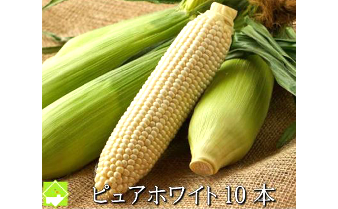 【2026年夏発送】とうもろこし ピュアホワイト 10本 L～2Lサイズ 富良野産 生で食べられる