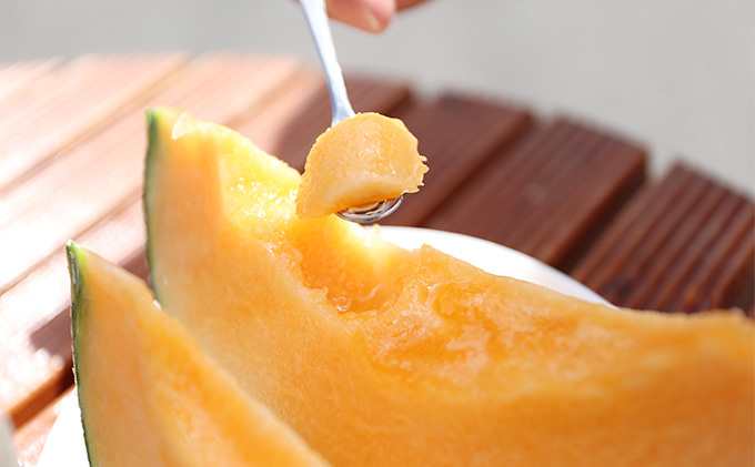 【2026年6月下旬～発送】富良野メロン 4～5玉 計約8kg 北海道 ふらの (NORTH FUN) メロン フルーツ 果物 新鮮 甘い 贈り物 ギフト 道産 ジューシー おやつ ふらの ブランド 夏