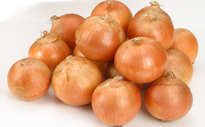 【北海道富良野産】L～2L サイズ 玉ねぎ 約10kg (JAふらの) たまねぎ 玉葱 タマネギ 野菜 新鮮 直送 道産 ふらの 送料無料 数量限定 先着順