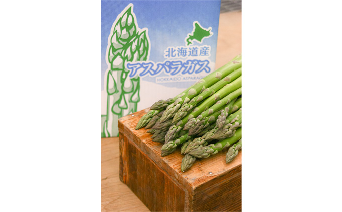 【2026年春発送】北海道 富良野産 アスパラガス M～2Lサイズ混合 約800g 露地栽培 (山本農園)  野菜 新鮮 直送 朝採り アスパラガス 道産 北海道 ふらの