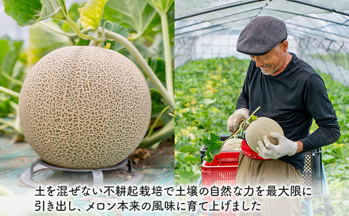 【2026年夏発送】北海道 富良野産 赤肉メロン 2玉 1.5kg～2kgサイズ ふらの メロン ギフト 果物 赤玉(榎本農園) メロン フルーツ 果物 新鮮 甘い 贈り物 ギフト 道産 ジューシー おやつ ふらの ブランド 夏