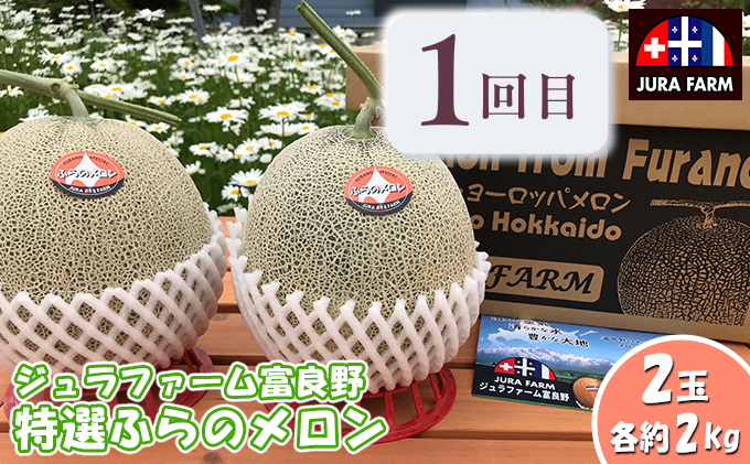 【年3回定期便】【2025年7～9月連続お届け】数量限定！ ふらのメロン 厳選3農家 コラボ 定期便(1) 食べ比べ 赤肉 2玉×3回 合計6玉 (北海道 富良野市 果物 フルーツ 甘い デザート 産地直送 新鮮 先着順 ジュラファーム富良野 守田農園 スイートベジタブルファクトリー)